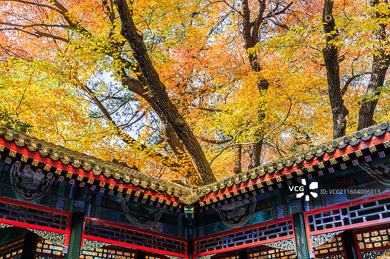 秋天的古建筑图片素材