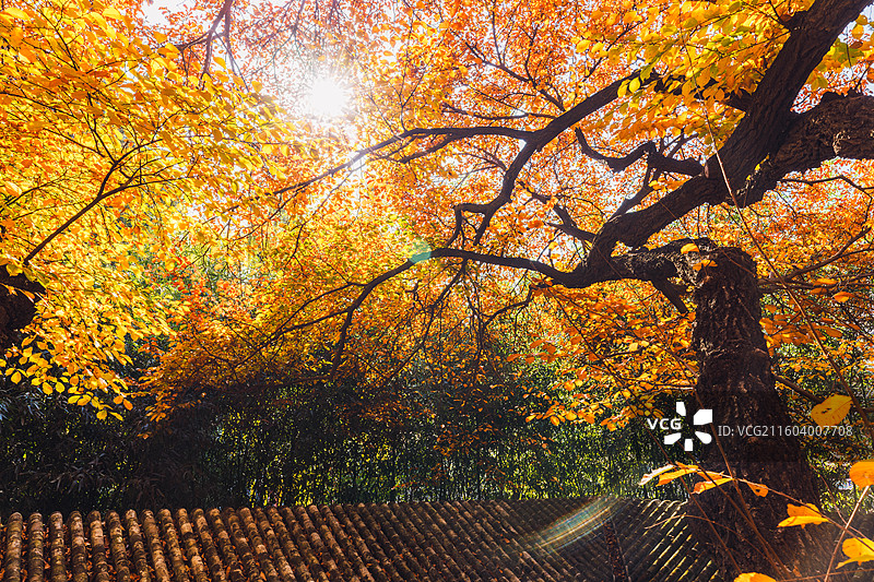 秋天的古建筑图片素材