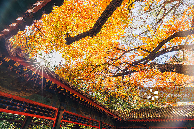 秋天的古建筑图片素材