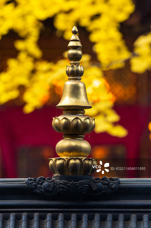 北京八大处公园大悲寺秋色图片素材