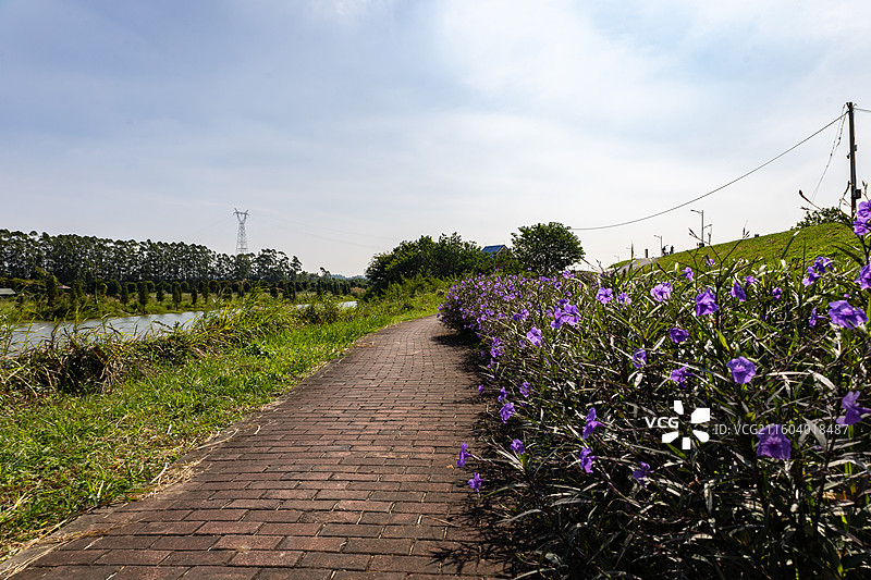广东南海金沙岛国家湿地公园图片素材