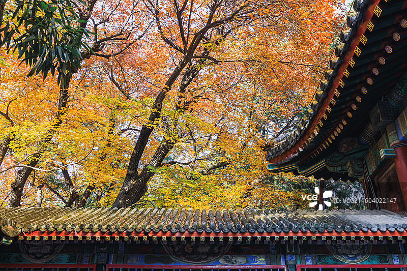 秋天的古建筑图片素材