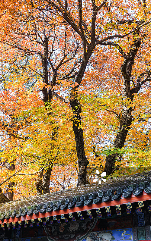 秋天的古建筑图片素材