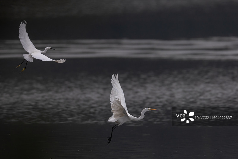 重庆迎龙湖湿地公园美景图片素材
