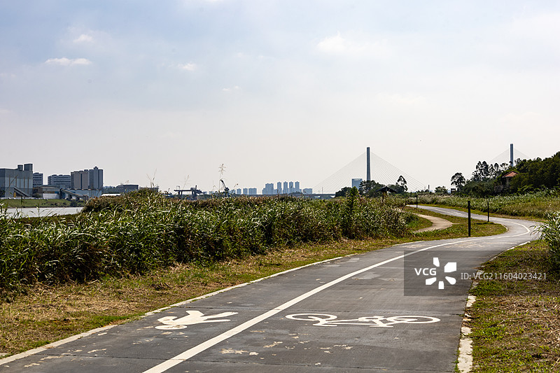 广东南海金沙岛国家湿地公园图片素材