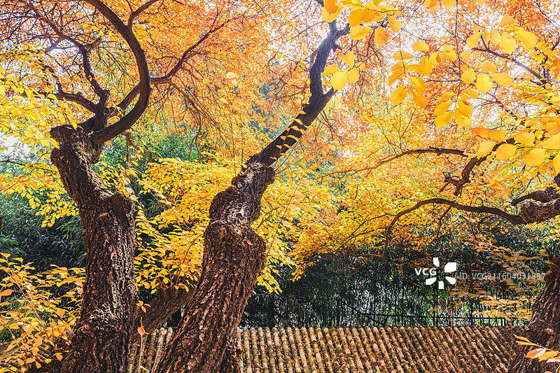 秋天的古建筑图片素材