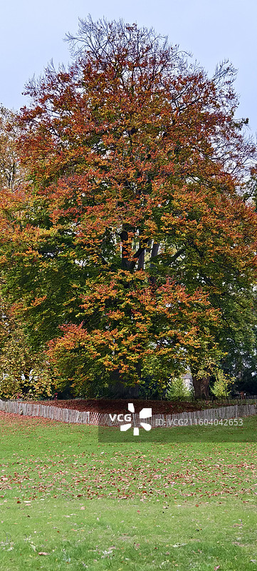 比利时布鲁塞尔，扎芬特姆小镇中央公园图片素材