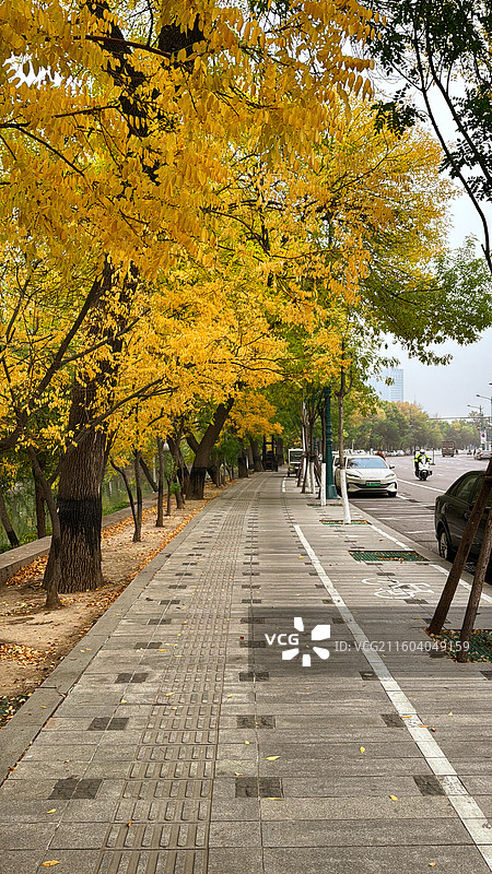 天津南运河秋色图片素材