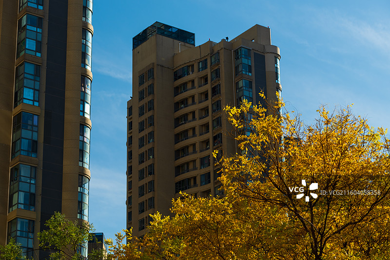 天津南运河秋色图片素材