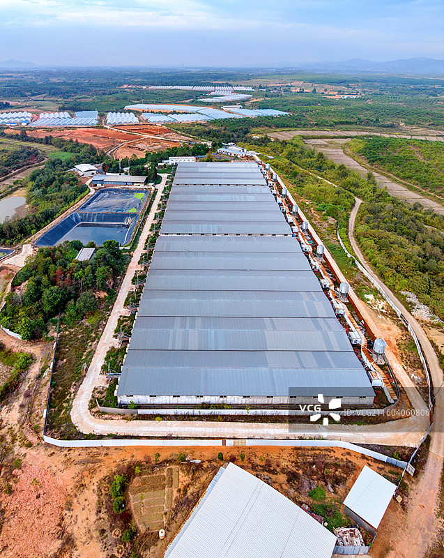 无人机航拍江西抚州金溪县乡村标准化养猪基地养殖场猪场，环保设施，蔬菜基地等配套设施齐全。图片素材