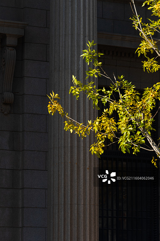 解放北路秋色图片素材