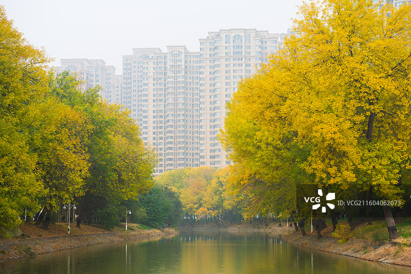 天津南运河秋色图片素材
