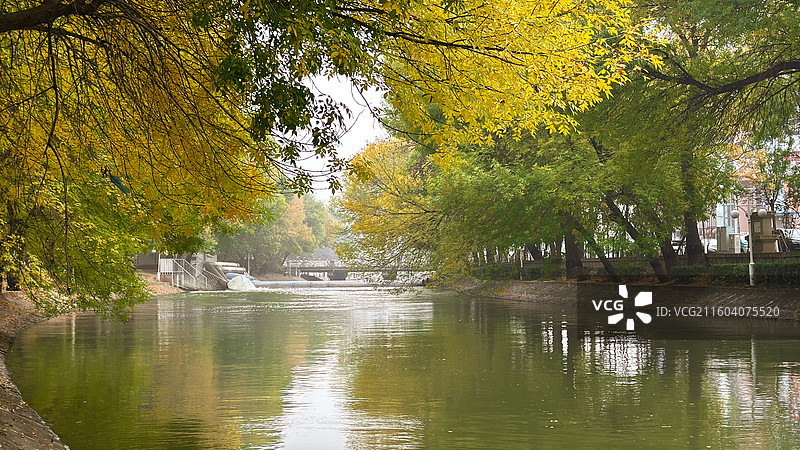 天津南运河秋色图片素材