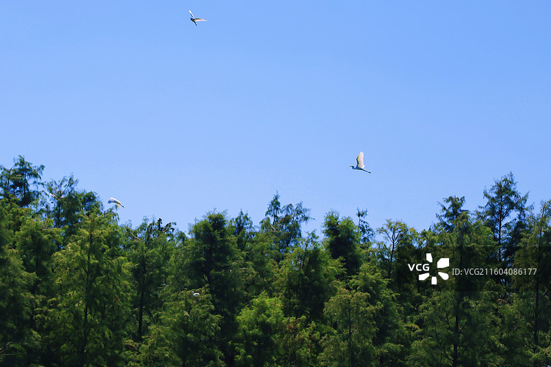 苏州常熟虞山尚湖风景区景点图片素材