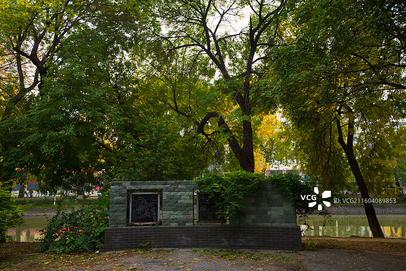 天津南运河秋色图片素材