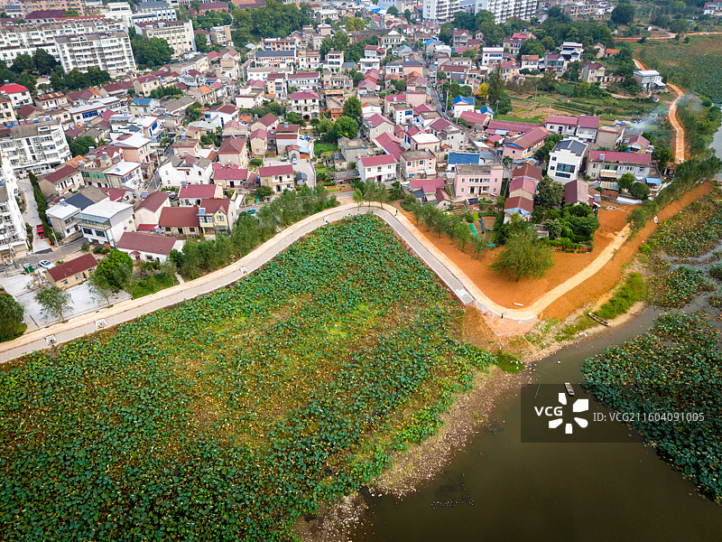 安徽省池州市东至县村落荷塘航拍图片素材