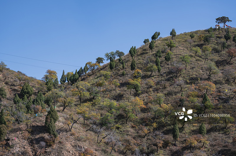 秋天的五当召图片素材