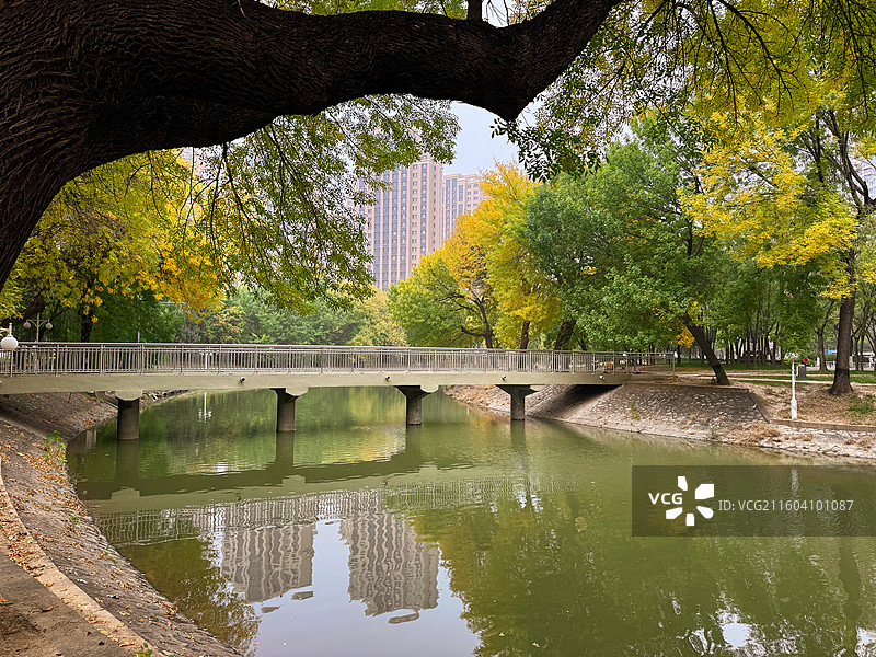 天津南运河秋色图片素材
