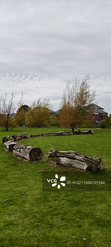 比利时布鲁塞尔，扎芬特姆小镇，体育公园图片素材