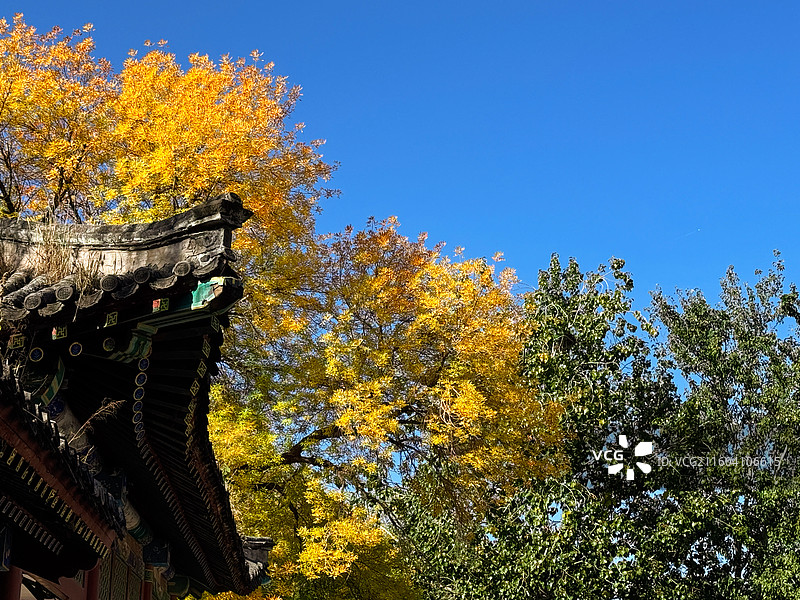 天子北宁公园秋色图片素材