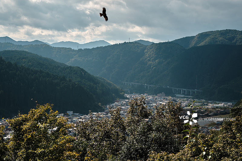日本岐阜郡上八幡图片素材