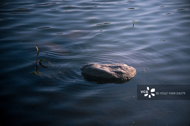 水中磐石图片素材