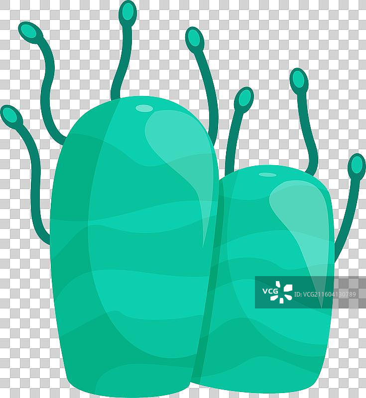 两个绿松石色的卡通细菌伸出触手图片素材