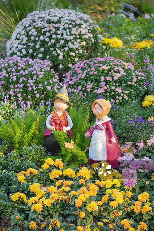 上海共青森林公园秋季菊花展公园话草木大自然风景图片素材