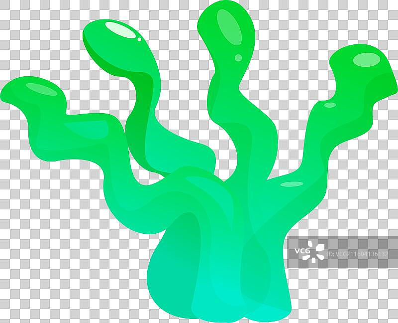 绿色的海藻在洋流中优雅地摇曳图片素材