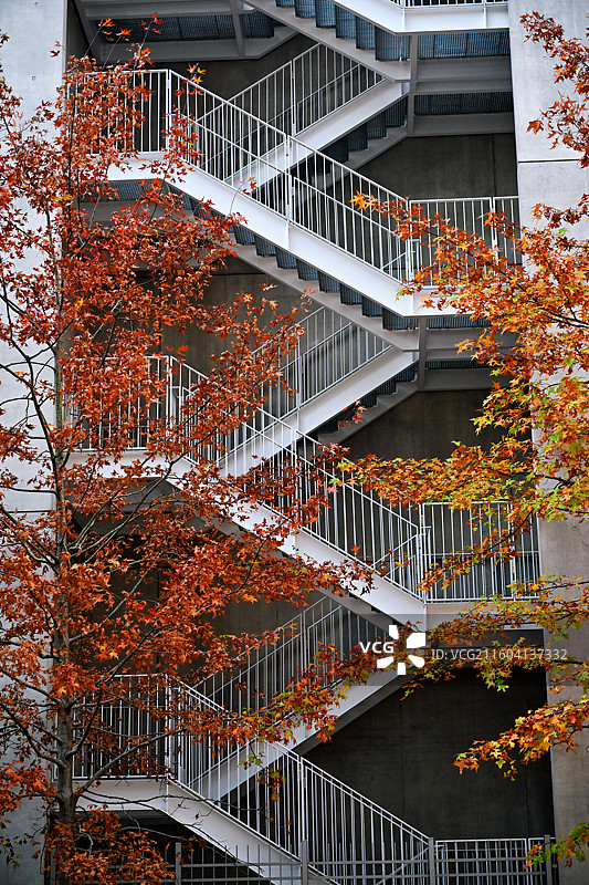 秋日街景图片素材