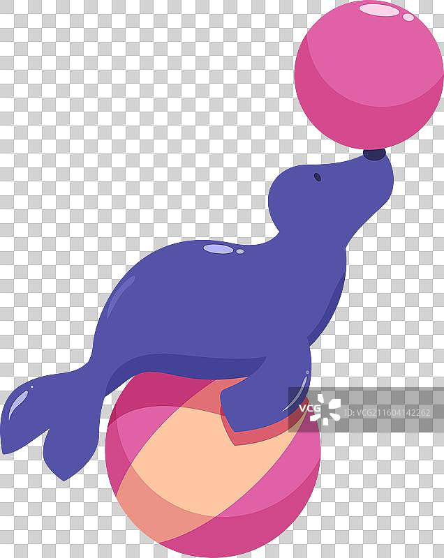 马戏团海豹在球上玩杂耍图片素材