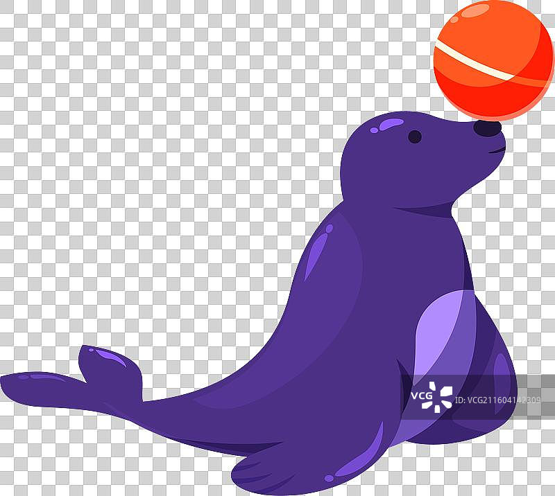 卡通海豹用鼻子平衡一个红球图片素材