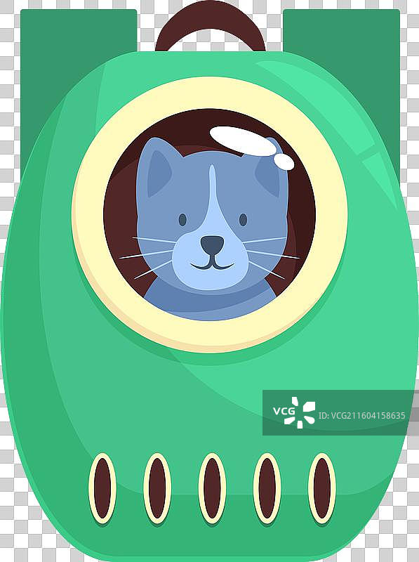 一只蓝虎斑猫坐在绿色的背包里图片素材