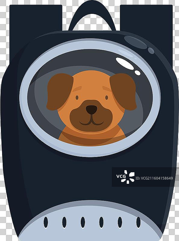 可爱的巴哥犬坐在太空背包里，看起来很有趣图片素材