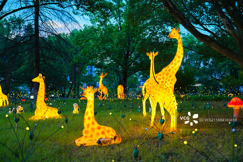 浙江省丽水市龙泉市，西街，留槎洲景区图片素材