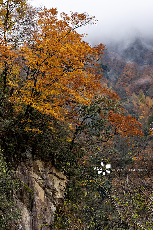 巴中光雾山风景区红叶风光图片素材