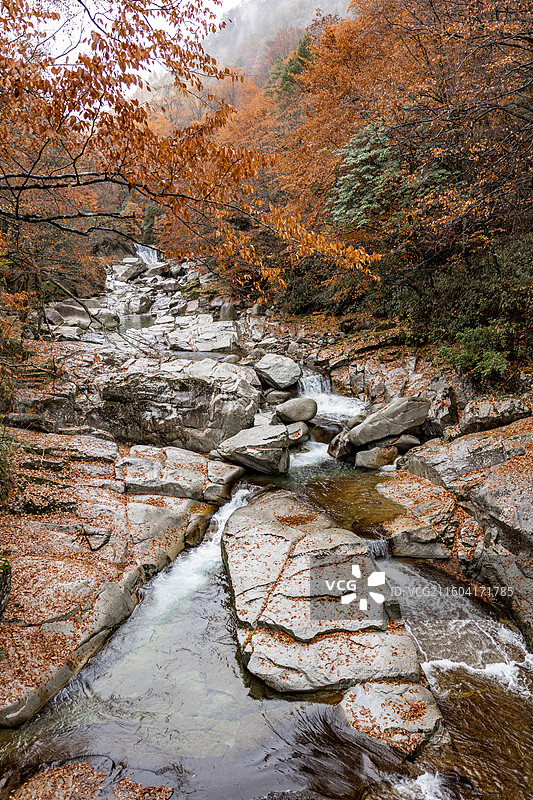 巴中光雾山风景区红叶风光图片素材