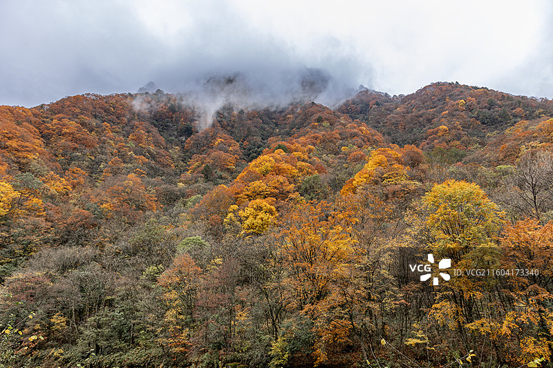 巴中光雾山风景区红叶风光图片素材