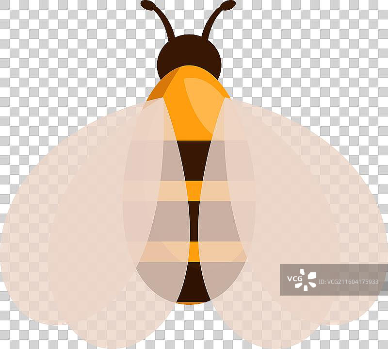 蜜蜂在白色背景上张开翅膀图片素材