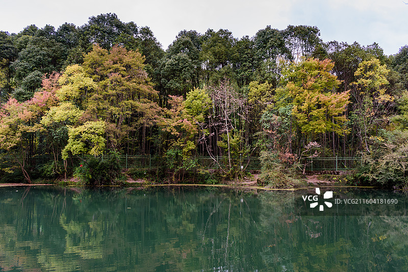 贵阳市花溪公园秋季风光，碧水清波、绿树掩映。图片素材