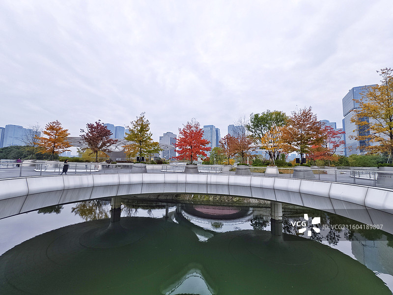 四川成都金融城交子公园莲叶桥秋色图片素材