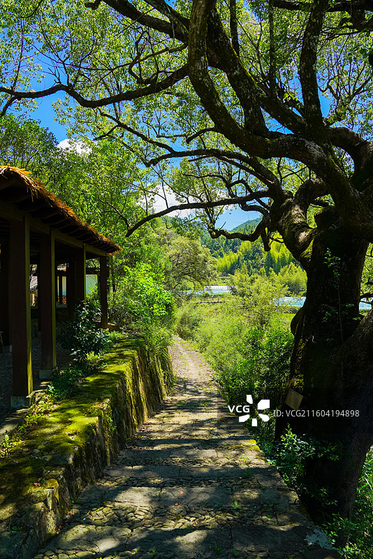 浙江省丽水市，景宁畲族自治县，桃源村，乡村之美图片素材
