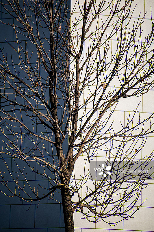 黑白分明、简洁画面、极简画面图片素材