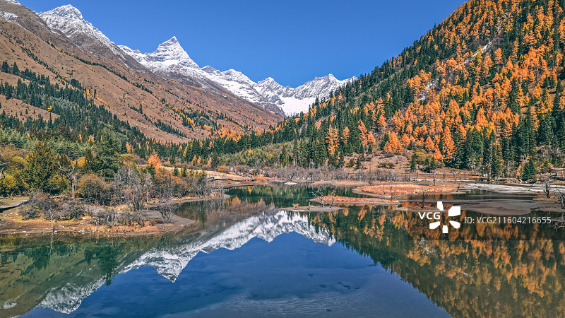 四姑娘山双桥沟秋景图片素材