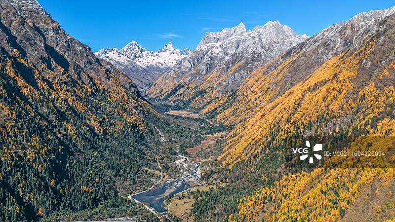 四姑娘山双桥沟秋景图片素材