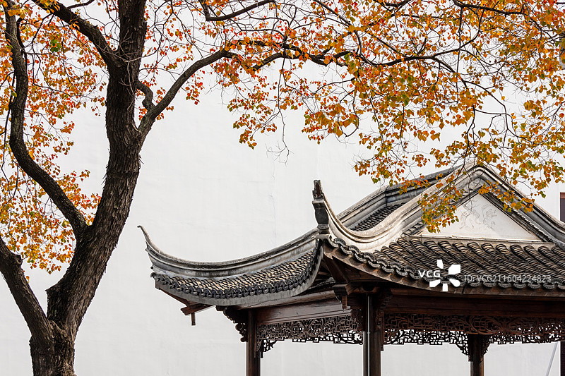 手机拍照合集图片素材