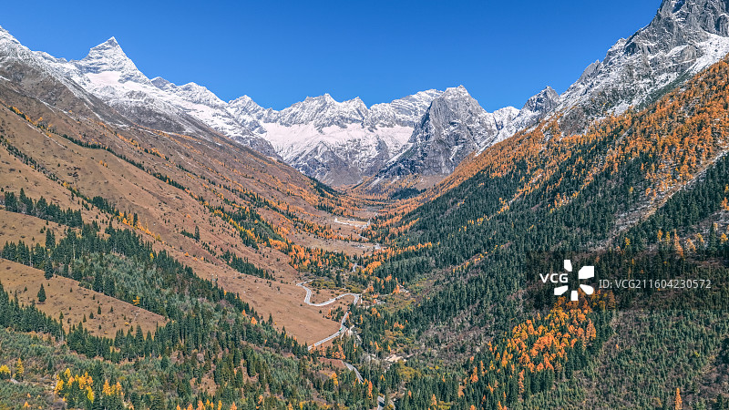 四姑娘山双桥沟秋景图片素材