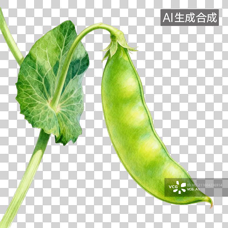 【AI数字艺术】绿色豌豆荚与叶片特写图片素材