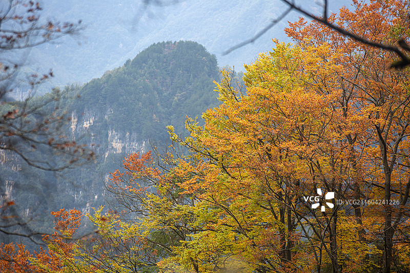 四川巴中市光雾山风景区秋色图片素材