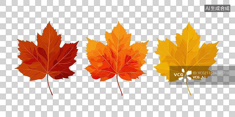 【AI数字艺术】三片秋叶的彩色插画图片素材